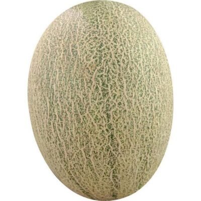 Sunnyphil Hami Melon Local ,Approx. 0.5 kg